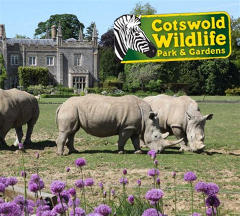 cotswold wildlife park webcam|Cotswold Wildlife Park 